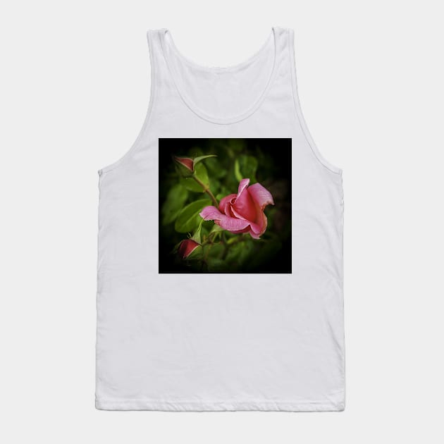 Pink Rose Tank Top by mtbearded1